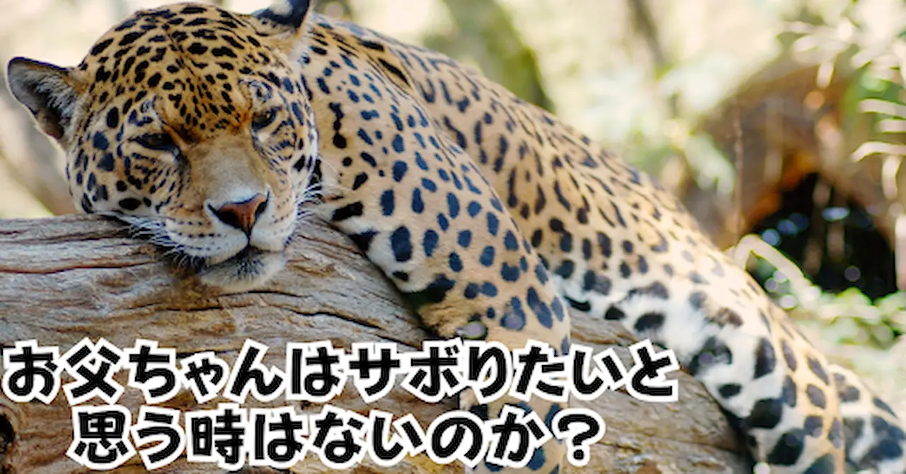 お父ちゃんはサボりたいと思う時はないのかアイキャッチ画像