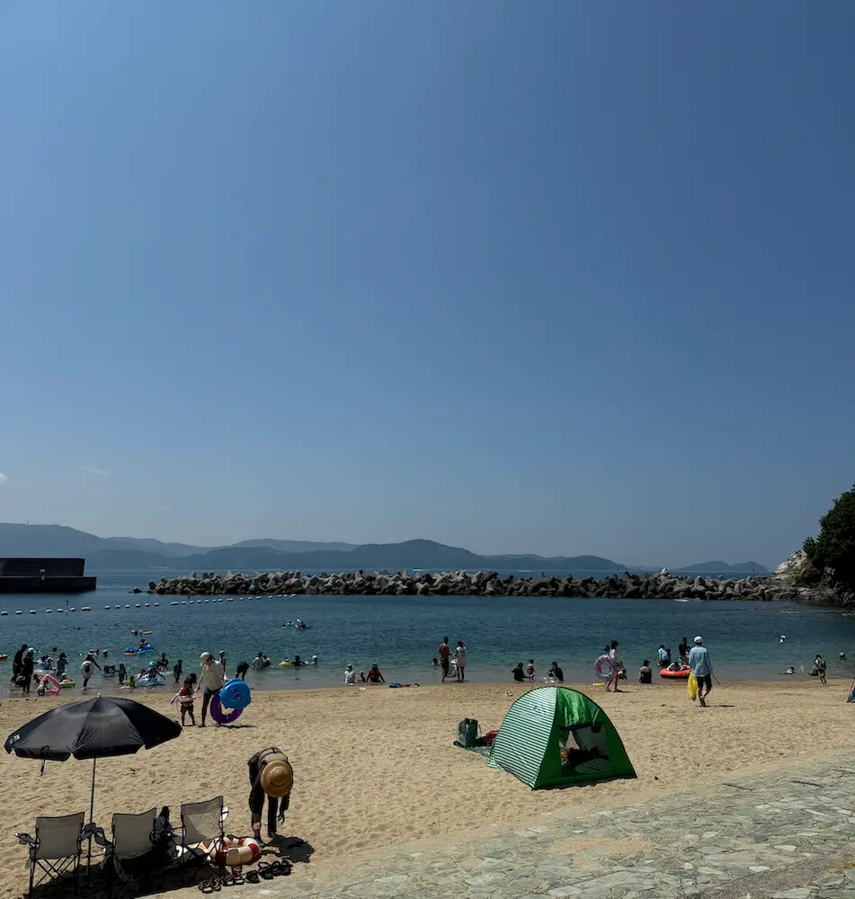 海